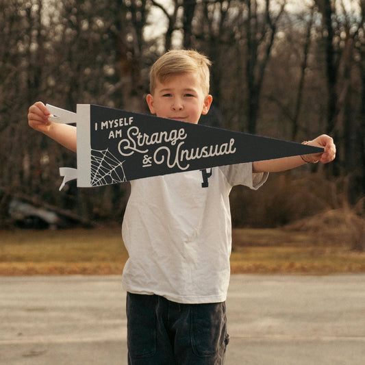 I Myself Am Strange & Unusual Felt Pennant