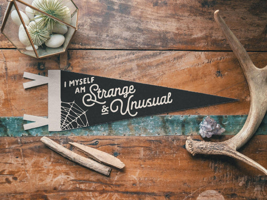 I Myself Am Strange & Unusual Felt Pennant
