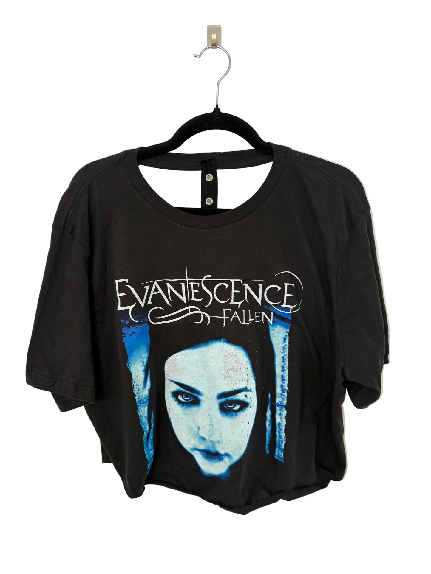 Evanescence custom crop shirt
