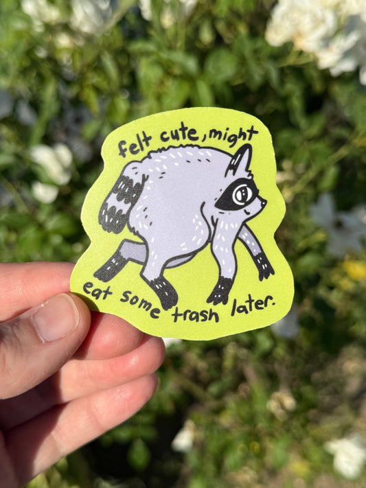 Felt Cute, Might Eat Some Trash Later Raccoon Jimothy Inspired sticker, 2.5x2.5 inches hand illustrated
